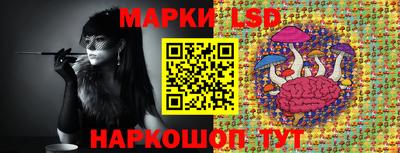 индика Малгобек