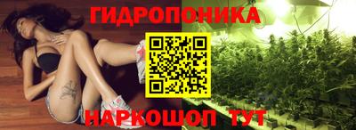 индика Малгобек