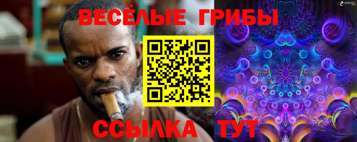 Галлюциногенные грибы мицелий  Вход с VPN  Галлюциногенные грибы прущие грибы  Тара 
