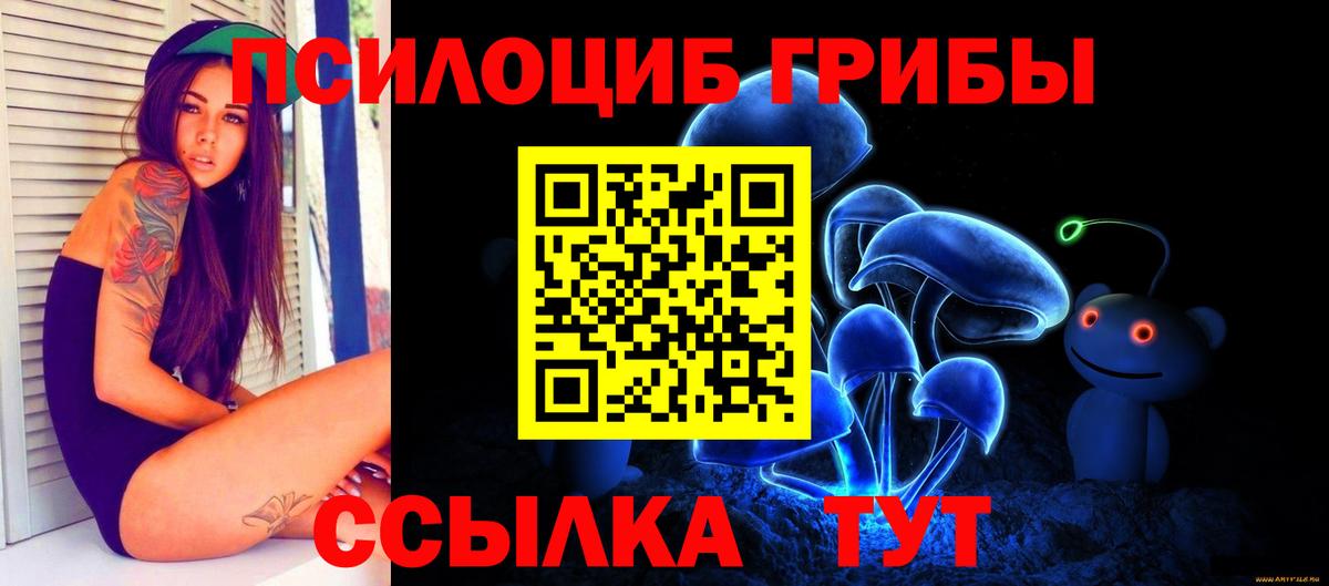 Галлюциногенные грибы мицелий Тара