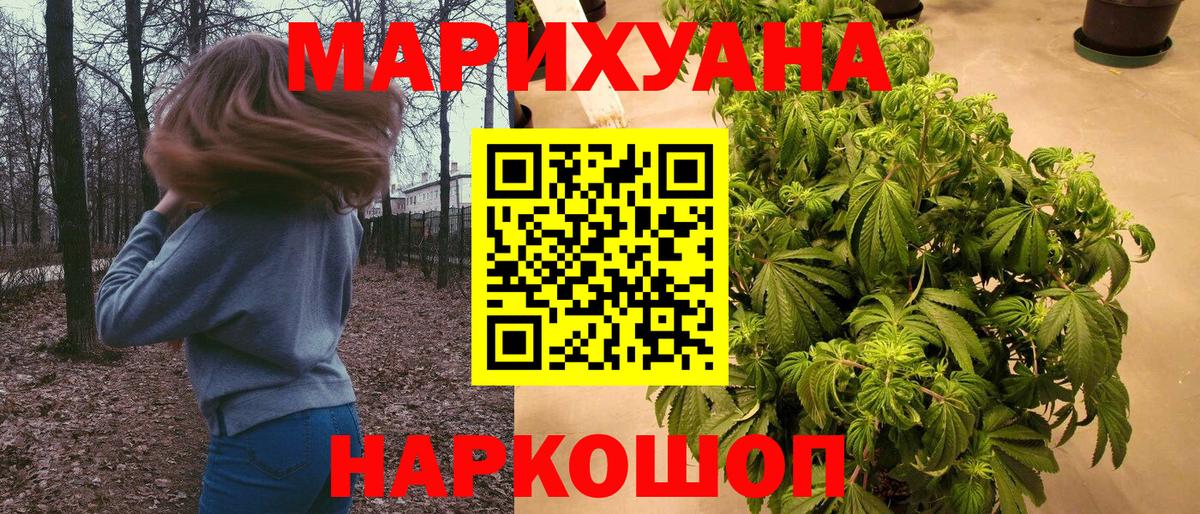 Каннабис OG Kush  Бошки марихуана VHQ  Вход с VPN  Тара 